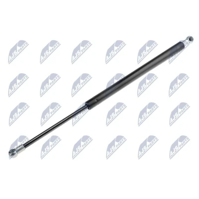 Afbeelding van NTY AE NS 012 Gasveer achterklep 830 496