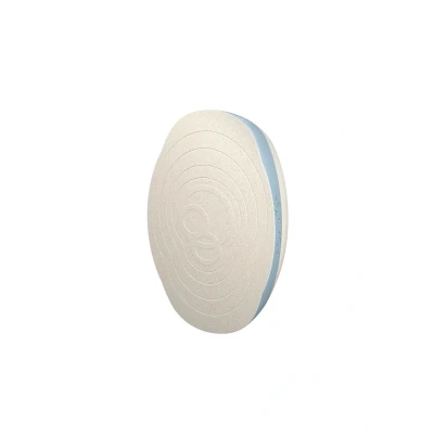 Afbeelding van Foamie Travel Box for solid shower care