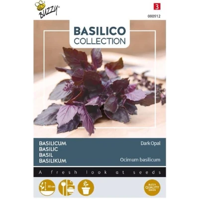Afbeelding van Basilico violetto aromatico Buzzy