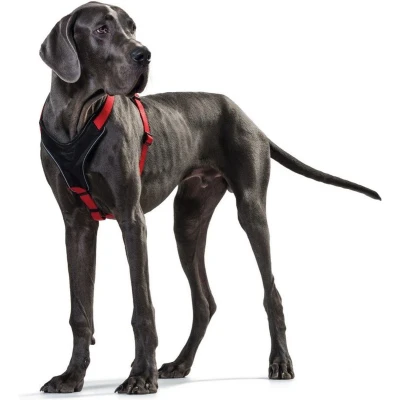 Afbeelding van HUNTER Neopren Harnas / Hondentuig Nylon Neopreen Zwart Rood XXL Borstomtrek 81 100 cm (GELIEVE ALVORENS BESTELLEN OPMETEN)
