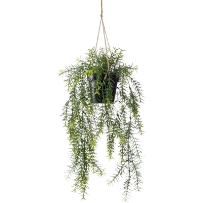 Afbeelding van Hangplant met pot 3 Driesprong Collection