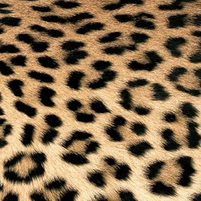 Afbeelding van Set van 20 servetten luipaardbont, dieren, Afrika, motief 33 x cm
