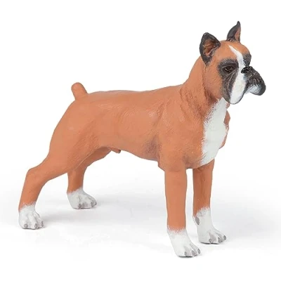 Image de Chien Boxer