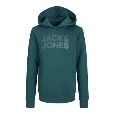 Afbeelding van JACK&amp;JONES JUNIOR JJECORP LOGO SWEAT HOOD NOOS JNR Jongens Trui Maat 128