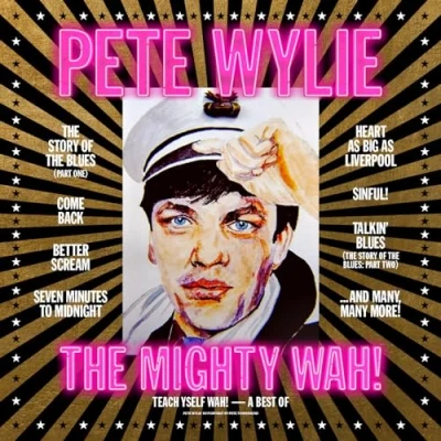 Afbeelding van Teach Yself WAH! A Best of Pete Wylie &amp; the Mighty