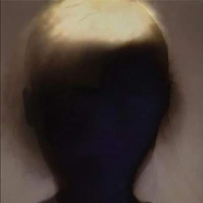 Afbeelding van Sun&#039;s Signature (LP)