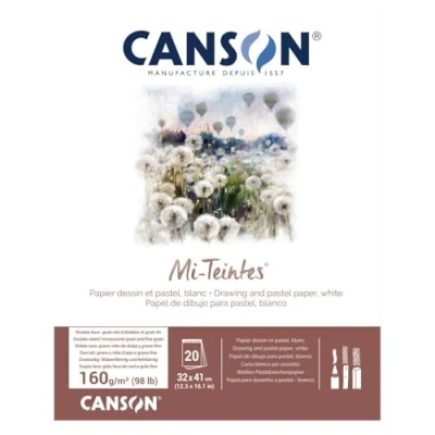 Image de CANSON Papier beaux arts Mi Teintes, en bloc, 320 x 410 mm