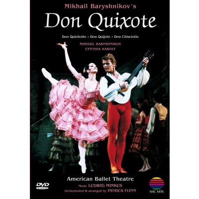 Afbeelding van Don Quixote