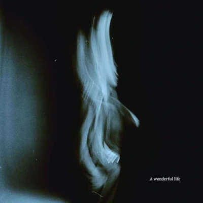 Afbeelding van Tom Odell A Wonderful Life (LP)
