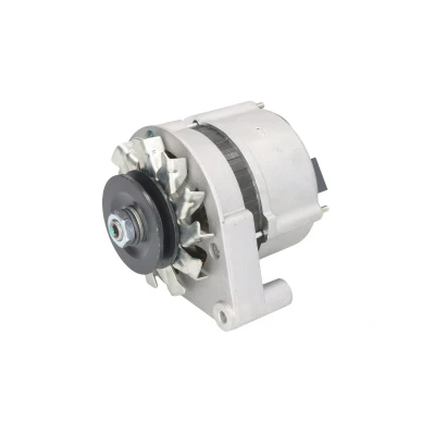 Afbeelding van STARDAX STX100695 Dynamo / Alternator 12V 33A