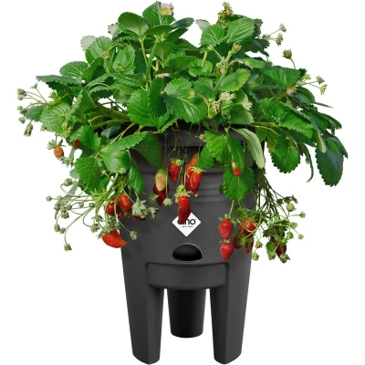 Afbeelding van Elho green basics Aardbeien pot plantenpot voor moestuinieren Kweken en Oogsten 33cm Living Black