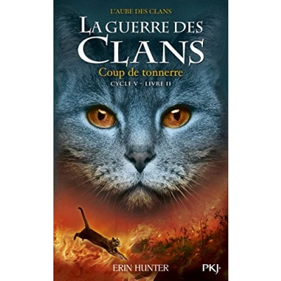 Afbeelding van ISBN 9782266282611 boek Frans Paperback 352 pagina&#039;s