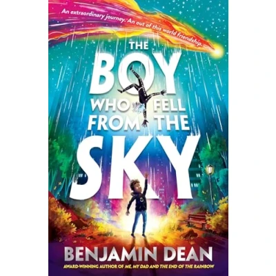 Afbeelding van the Boy Who Fell From Sky