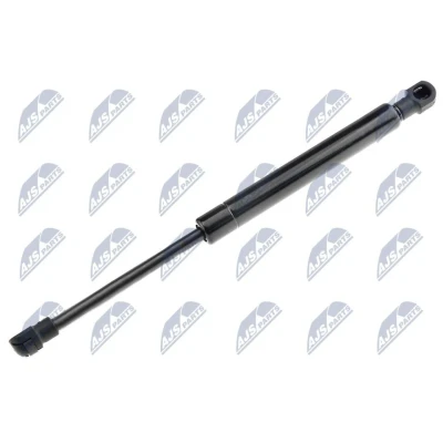 Afbeelding van NTY AE AR 017 Gasveer achterklep 500 280