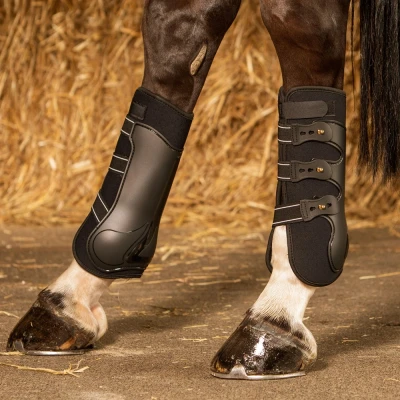 Image de Harry&#039;s Horse Guêtres tendineuses Grand Prix Arrière Noir Full Derrière