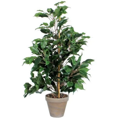 Afbeelding van Mica Decorations Ficus Exotica Kunstplant in Bloempot 60 cm