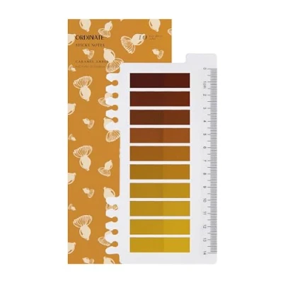 Afbeelding van Ordinate Sticky notes Lot de 200 adhésives transparentes pour marquage, bandes adhésives, marqueurs page, autocollantes, esthétiques, Full Color of Gradient (E pièces ambre caramel)