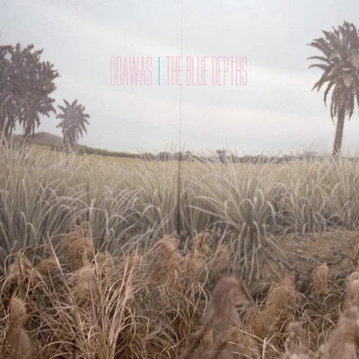 Afbeelding van Odawas The Blue Depths (CD)