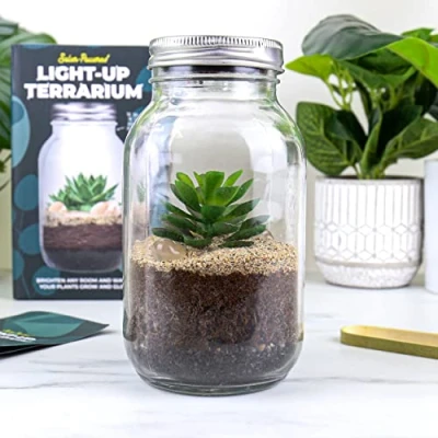 Afbeelding van Lichtgevend Terrarium