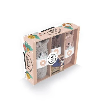 Image de Coffret Mes chatons chaussettes
