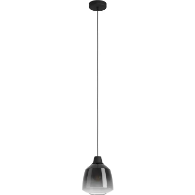 Afbeelding van EGLO Sedbergh Hanglamp E27 Ø 20 cm Zwart Glas