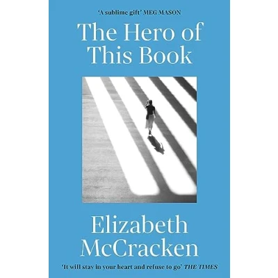 Afbeelding van The Hero of this Book