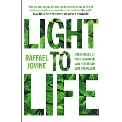 Afbeelding van Light to Life