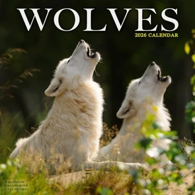Afbeelding van Wolves Kalender 2025 2026