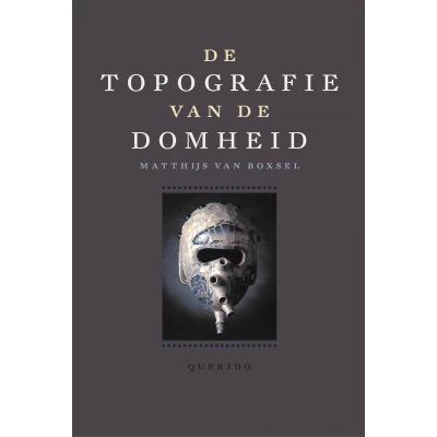 Afbeelding van de topografie van domheid