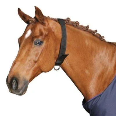 Image de Kerbl Tour de Cou pour Chevaux