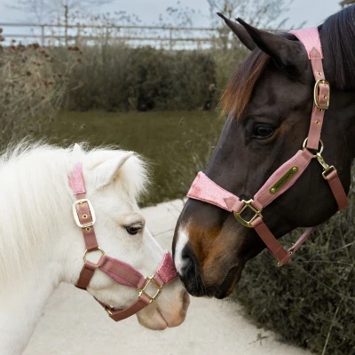 Image de Kentucky Velvet Halter Unicorn Glitter