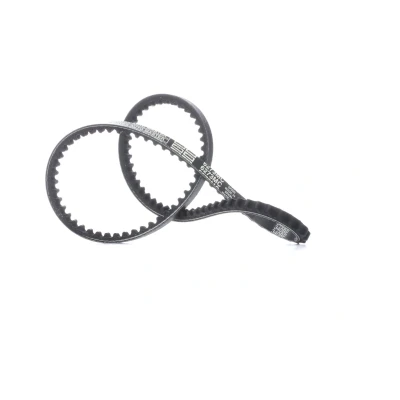 Afbeelding van Gates V riem 6273MC
