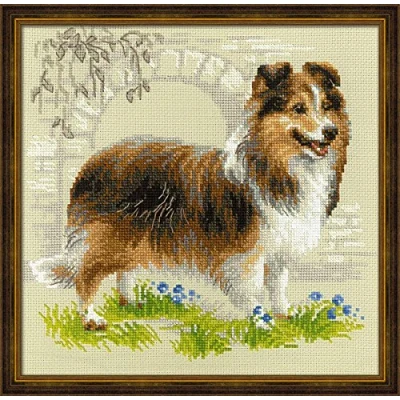 Afbeelding van Sheltie Aida Telpakket Riolis