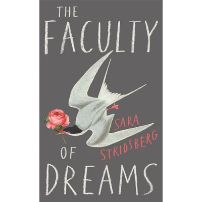 Afbeelding van The Faculty of Dreams