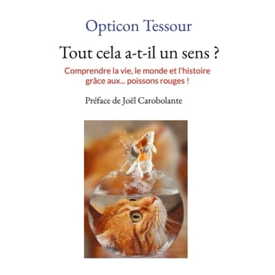 Image de Tout cela a t il un sens ?