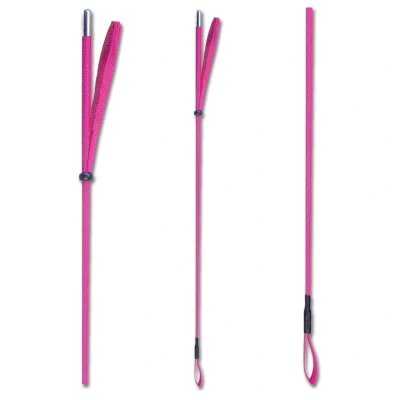 Afbeelding van Waldhausen Rijzweep Roze Rijbenodigdheden 90 cm