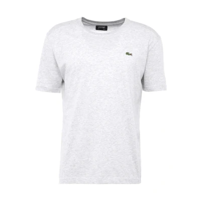 Afbeelding van Lacoste Sport Tshirt, Heren, Maat: Medium, Argent chine