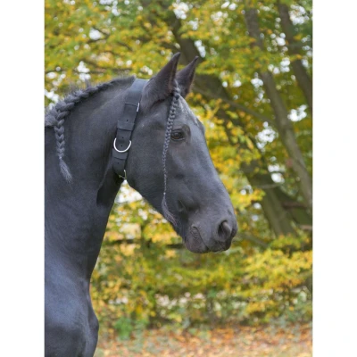 Afbeelding van Kerbl Halsriemen voor Paarden Zwart 5cm