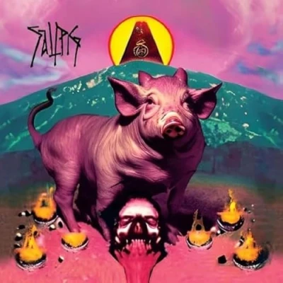 Afbeelding van Saltpig (LP)