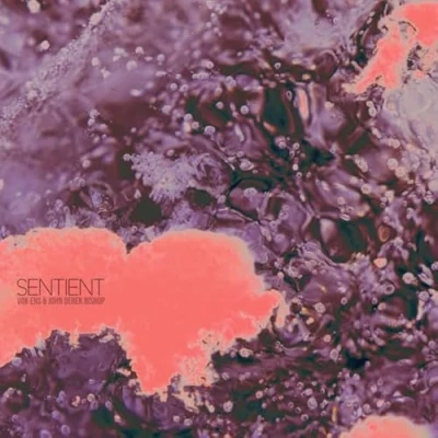 Afbeelding van Bishop &amp; Ens Sentient (CD)