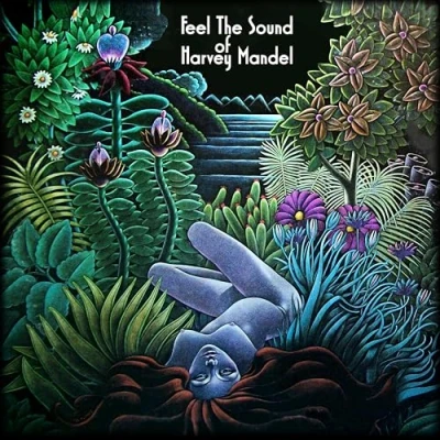 Afbeelding van Harvey Mandel Feel the Sound (LP)