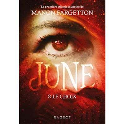 Afbeelding van Le choix