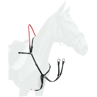 Afbeelding van Waldhausen Voortuig Secutrust Veiligheidsteugel Zwart Pony