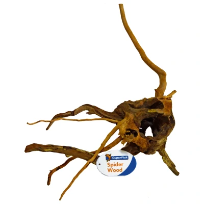 Afbeelding van Spiderwood