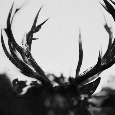 Afbeelding van Ihsahn (CD)
