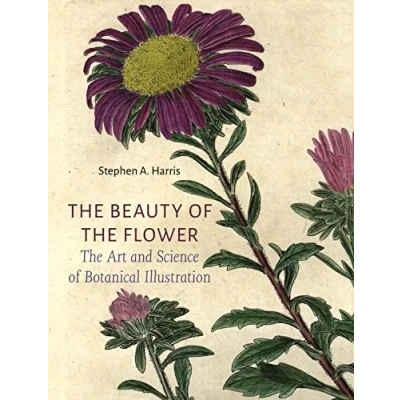Afbeelding van the Beauty of Flower