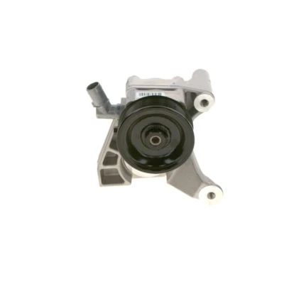 Afbeelding van Bosch Servopomp K S00 000 081
