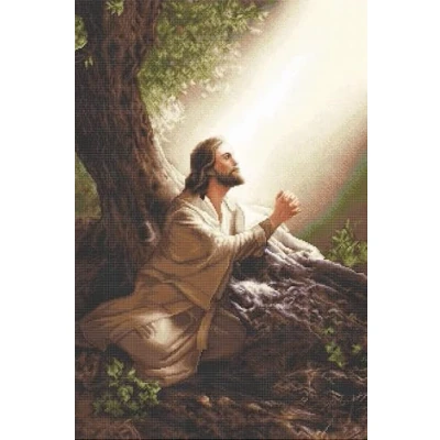 Afbeelding van Luca S Jesus Christ borduren (pakket) B618