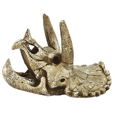 Afbeelding van Superfish Skull Triceratops Maat M