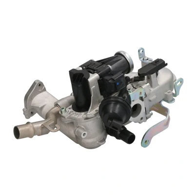 Afbeelding van WAHLER 710944D/1 EGR klep Electrisch Zonder montagemateriaal PEUGEOT: Expert II Van, Partner Tepee, 308 SW 2, CITROËN: Berlingo Van